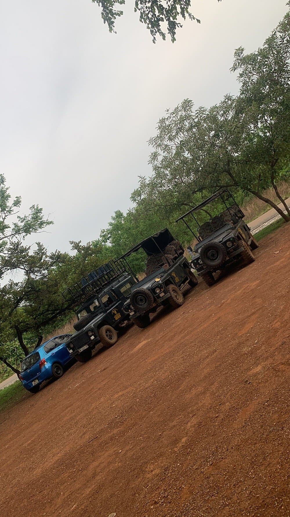 Mole National Park Safari — photo 1