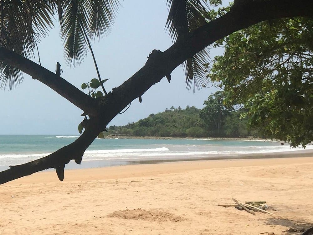Busua Beach & Ankasa Rainforest