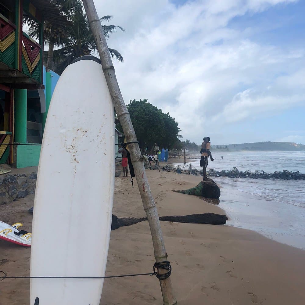 Busua Beach & Ankasa Rainforest — photo 5