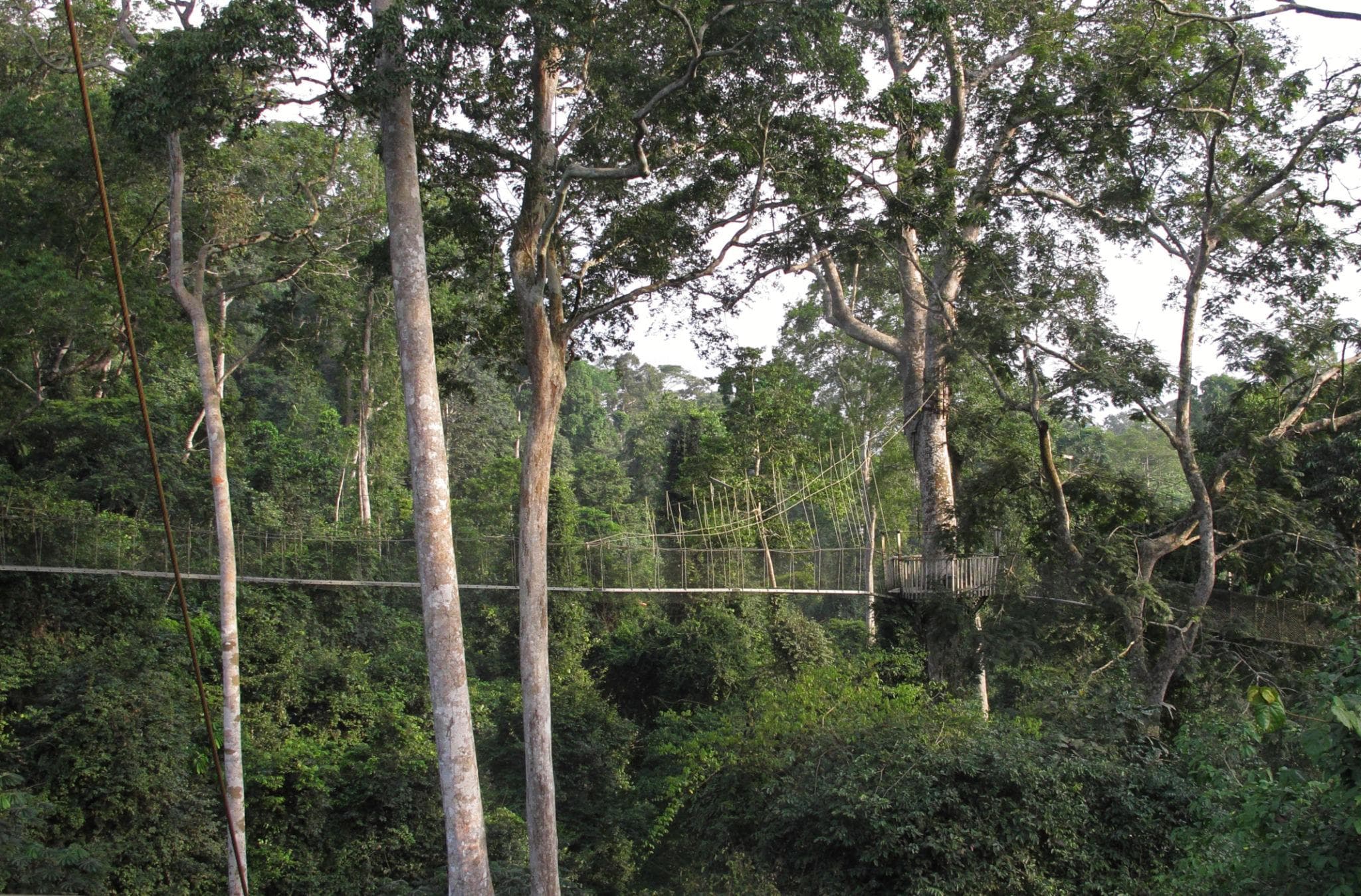 Kakum Canopy Walk & Cape Coast Heritage — photo 4
